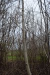 Habitat