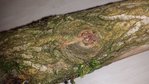 20160102_202917.jpg