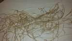 20160102_213749.jpg