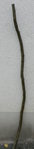 die Form ist ganz okay.JPG (59.09 KiB) 14964 mal betrachtet die Form ist ganz okay