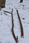 Der untere Teil ist mir zu schade fürs Schnelltrocknen, den trockne ich in aller Ruhe. Der obere steigt ins Turnier ein