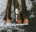 Durchmesser