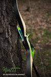 IMG_2668finforum.jpg