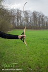 IMG_2707finforum.jpg