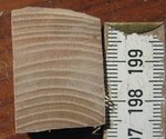 Ringe II.jpg