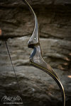 IMG_6515finforum.jpg