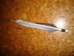 DSC00685.JPG