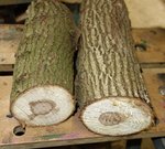 DSC05184 - Kopie.JPG (412.47 KiB) 5146 mal betrachtet UHO