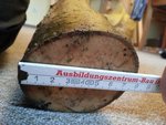 Dickes Ende