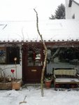 Seitansicht