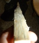 stave3.jpg