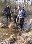 Beschwerliche Wege zum Holz