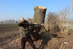 Bogen weg ... den Pfeil sieht man noch fallen