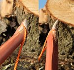 IMG_0072.JPG (324.37 KiB) 15238 mal betrachtet Nocken<br />unten - oben