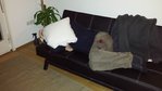 20170211_191953.jpg