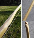 Baogenschau.jpg