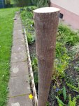2017-03-22 10.45.35.jpg