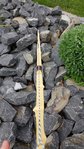 20170414_115042.jpg