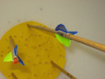 IMG_0046.gif.png
