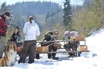 Samstag Pfeile bauen
