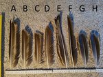 2017-05-13 20.37.23.jpg