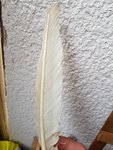 2017-05-14 15.49.48.jpg