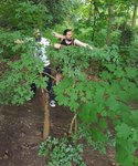 21.jpg (348.79 KiB) 5637 mal betrachtet zwei im Gebüsch verborgene Jungschützen, deren Scheu sich dadurch zu erklären scheint, daß einer von Ihnen gar keinen Bogen führt.