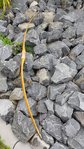 20170729_161346.jpg